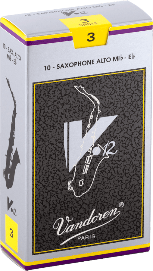 V12 3 - SR613