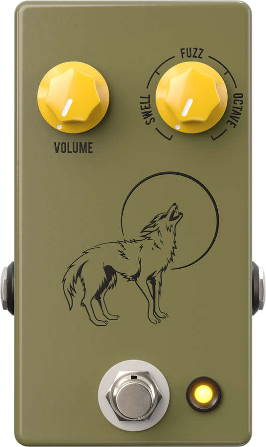 Coyote