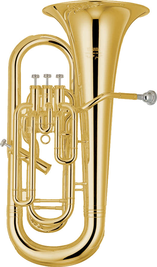 YEP621 GOLDLACK