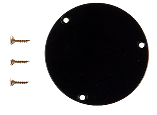 Gibson Accessories Ersatzteile Schalterplatte Schwarz