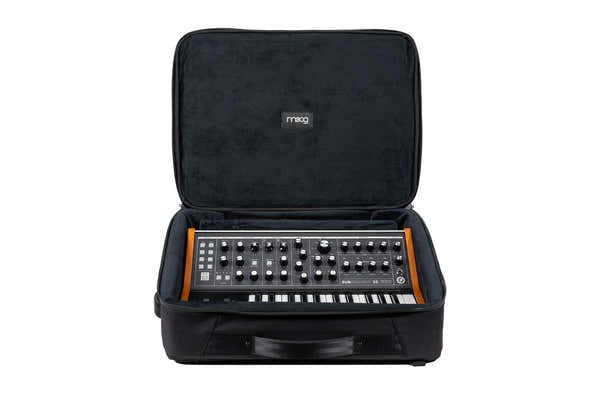 SUBSEQUENT 25 BAG