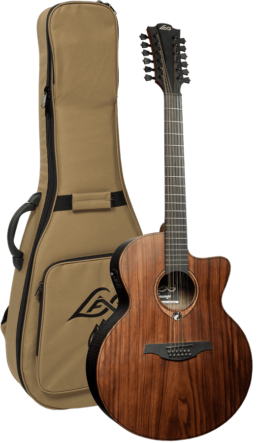 Sauvage Jumbo 12 Strings Ctw