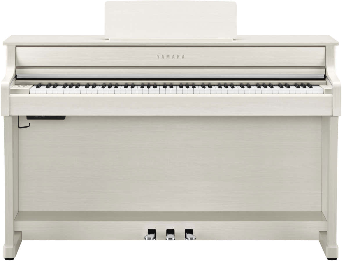 CLP-835 Weißbirke