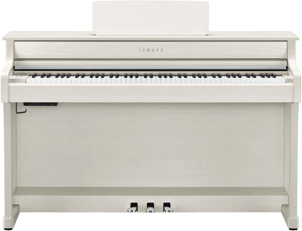 CLP-835 Weißbirke