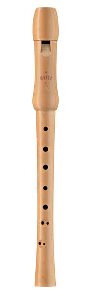 SCHULISCH 1212