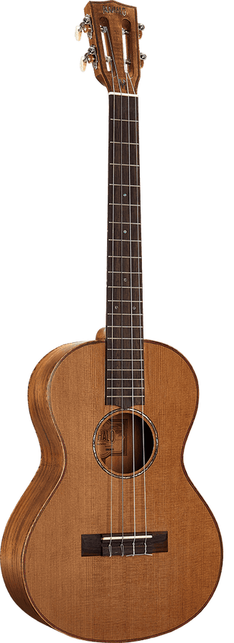 Naturbelassener Elektro-Bariton + Tasche