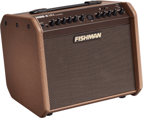 Fishman LOUDBOX MINI CHARGE AMPLIFIER