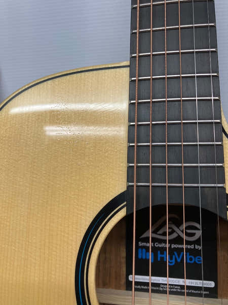 Lâg HyVibe 1 Serie 20 Dreadnought Ctw - B-Ware