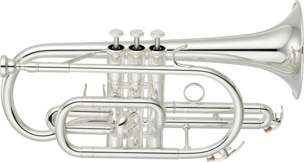 YCR4330GSII B Versilbert