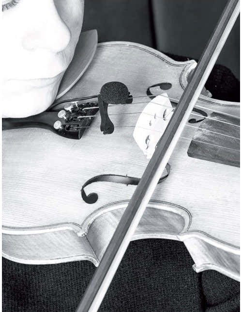 VL21C Lanen Violine - Bratsche