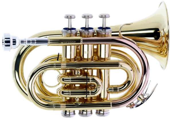 WTP200P - B b Lackiert