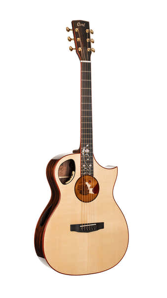 Gitarre Roselyn Redux Natur Hochglanz