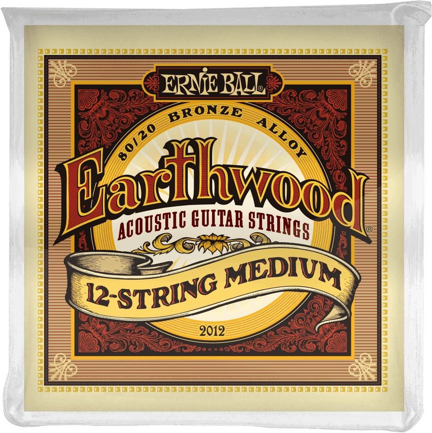 EARTHWOOD ACOUSTIC 12 STRINGS MEDIUM 11-11/52-28 2012
