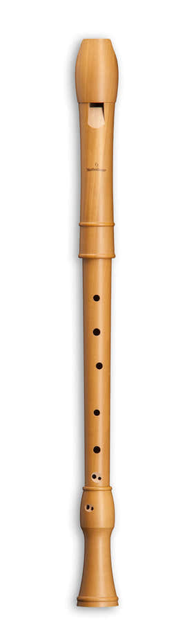 Canta Tenor 2406 - Birnbaum (Barockgriffweise)