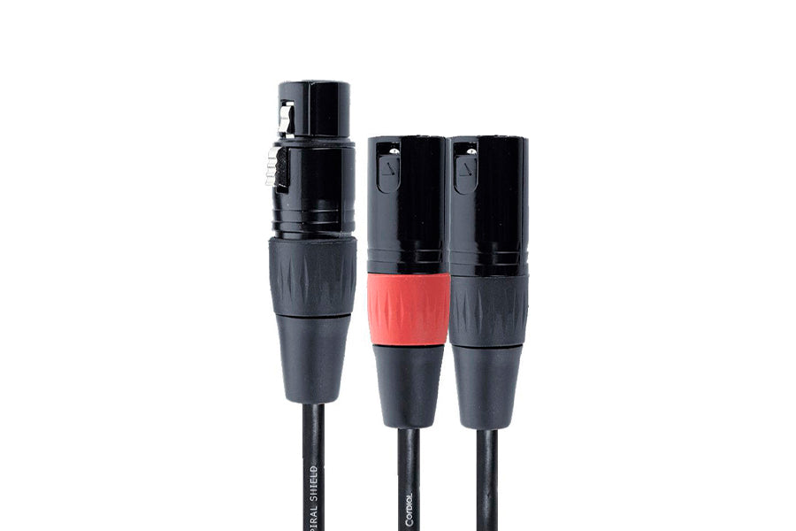 doppel xlr mannlich