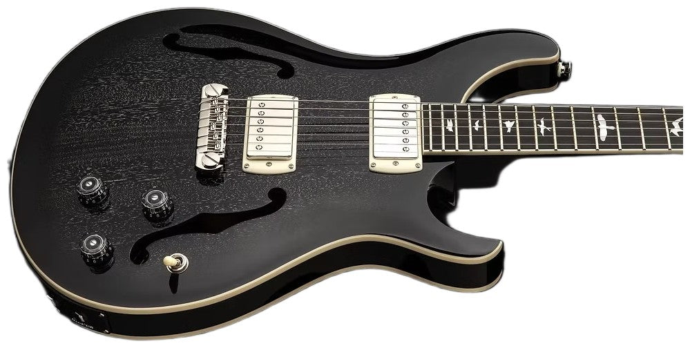 Hollowbody SE Standard Piezo Dh Dog Hair Smokeburst
