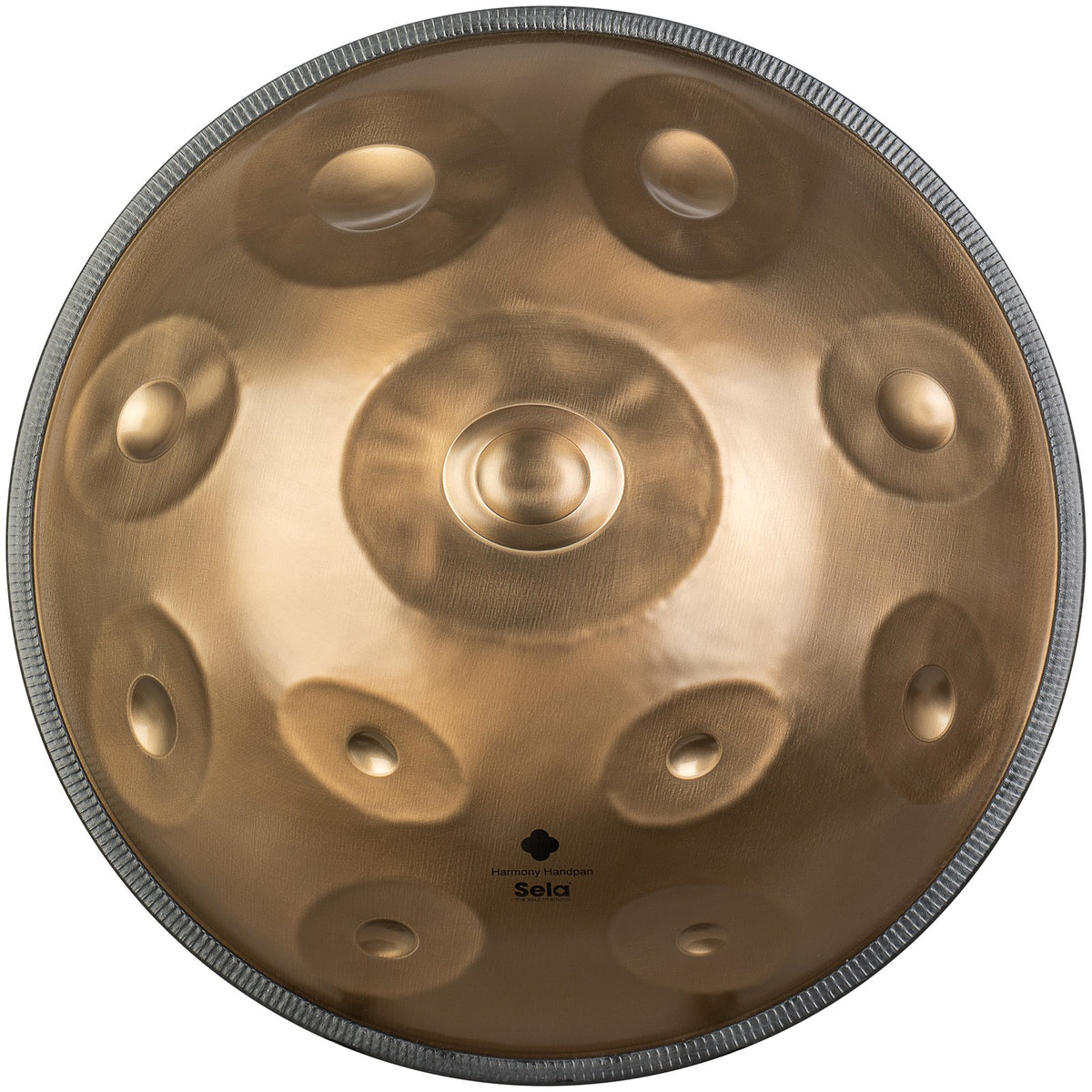 Harmony Handpan D Amara 11+1 - Stainless Steel