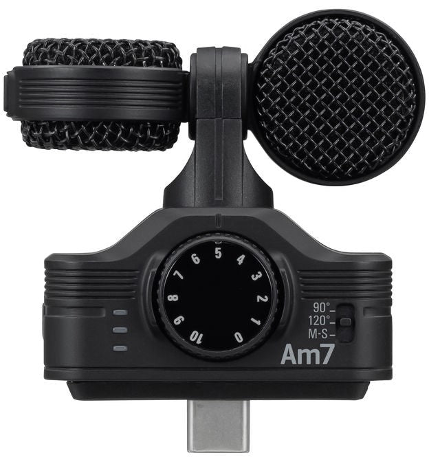 AM7