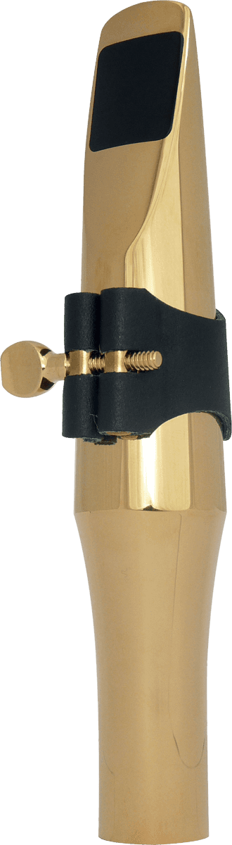 Metall Vergoldet 24K E27 - Bariton