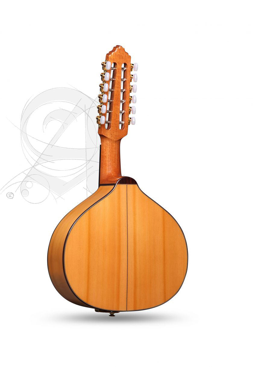 Conservatory 6Fc Bandurria + 9531 Gigbag