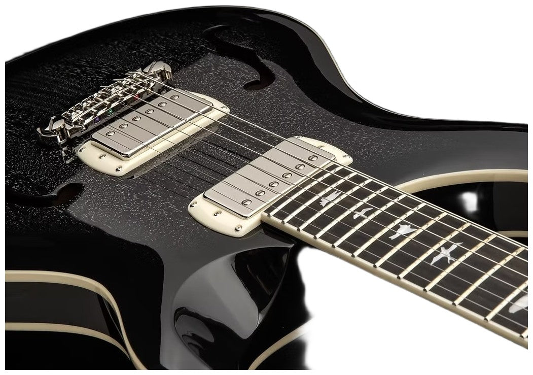 Hollowbody SE Standard Piezo Dh Dog Hair Smokeburst