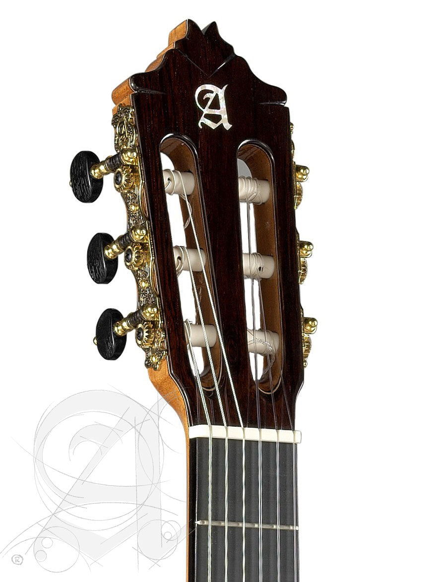 Concert 9P Cw E8 + 9557 Case