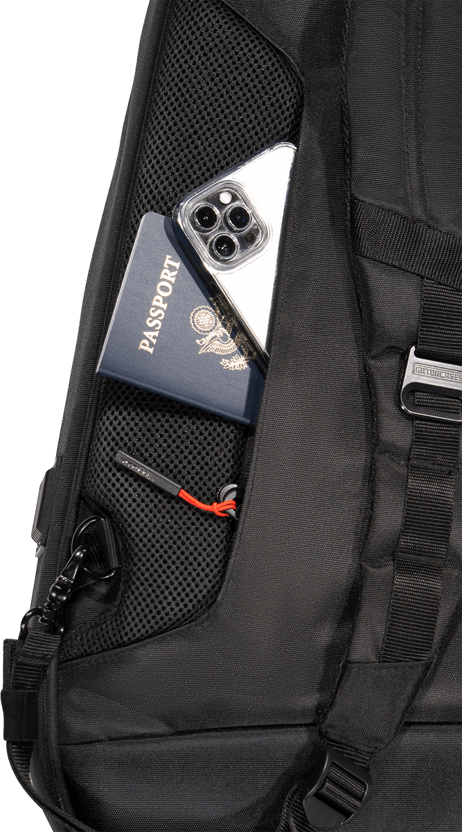 Dreadnought Softcase - ICON