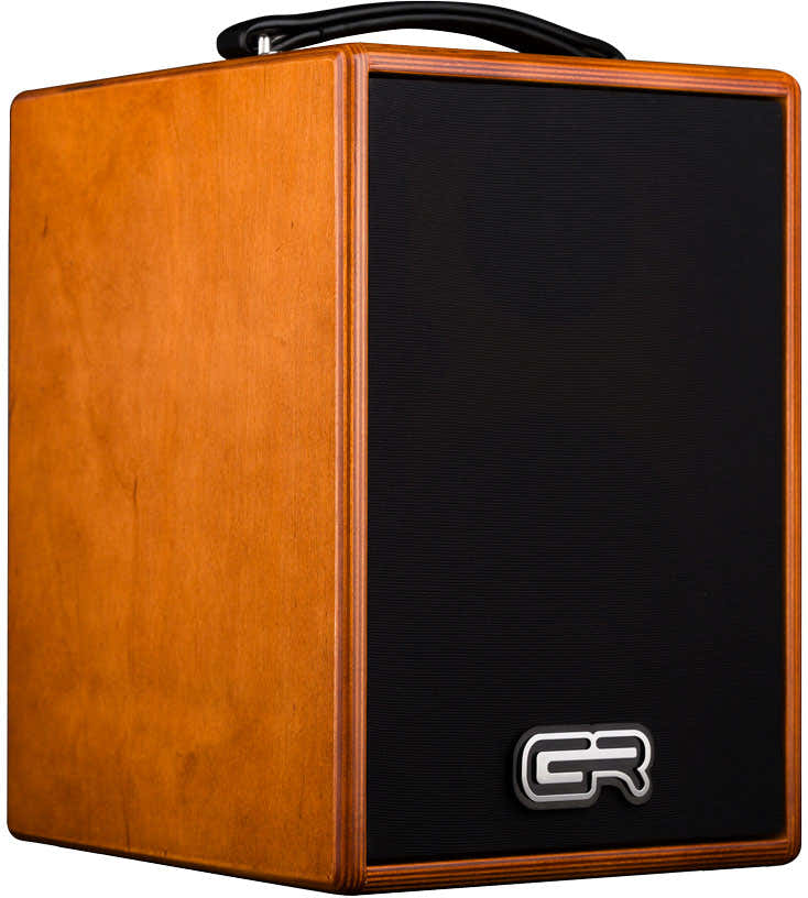 WD Acoustic 6 Bois