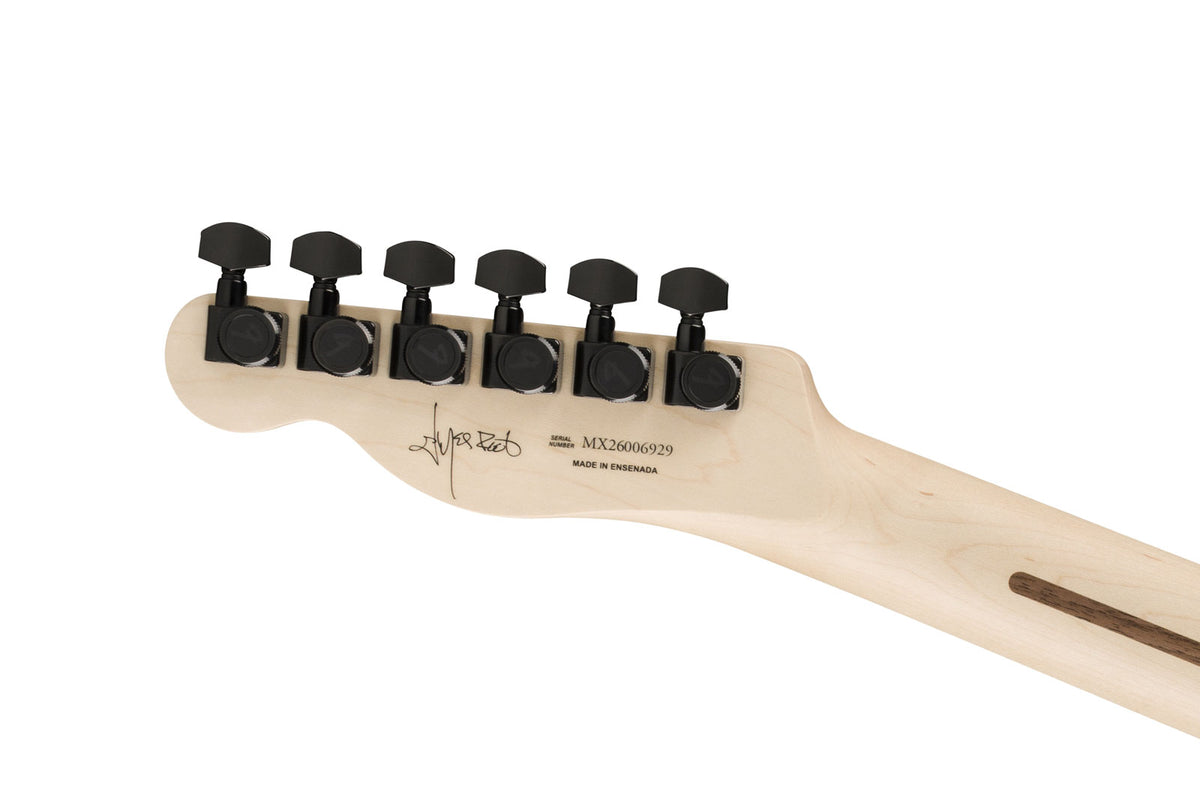 Telecaster Jim Root Ebo Shoreline Gold
