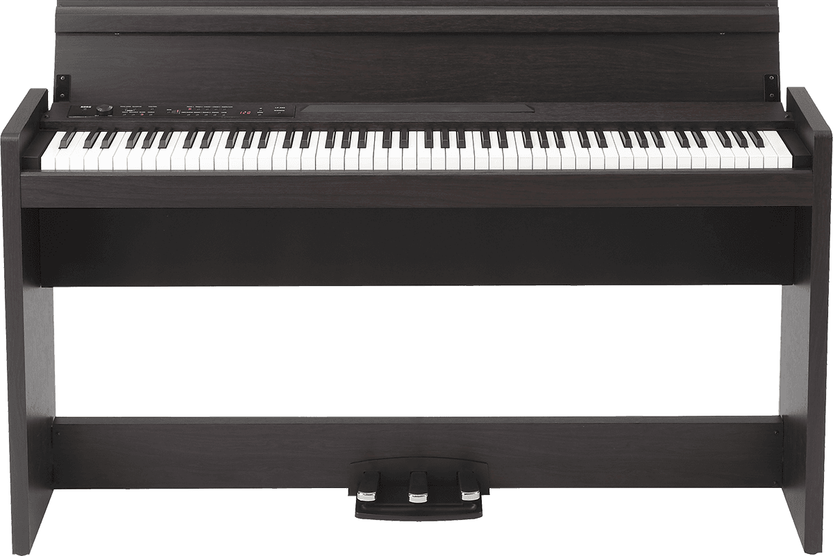 LP-380U Palisander