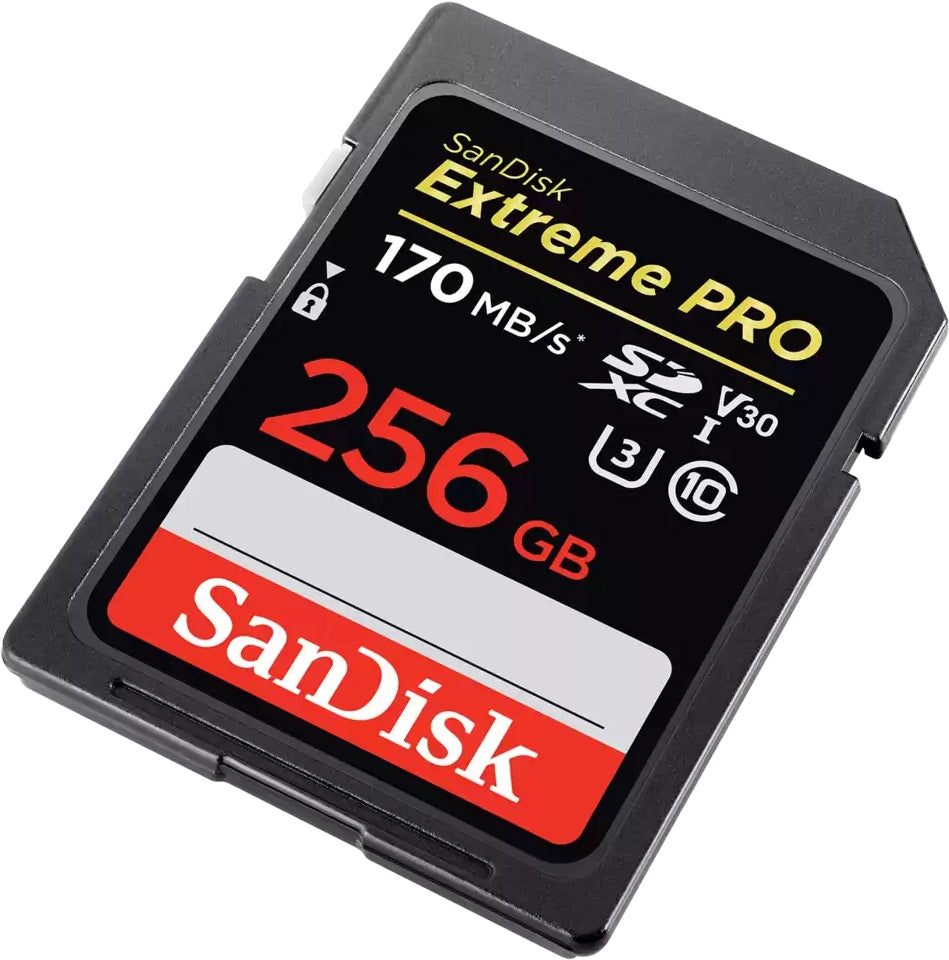 Extreme Pro 256 Go