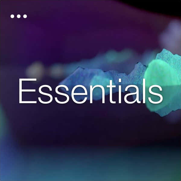 Essentials-Paket