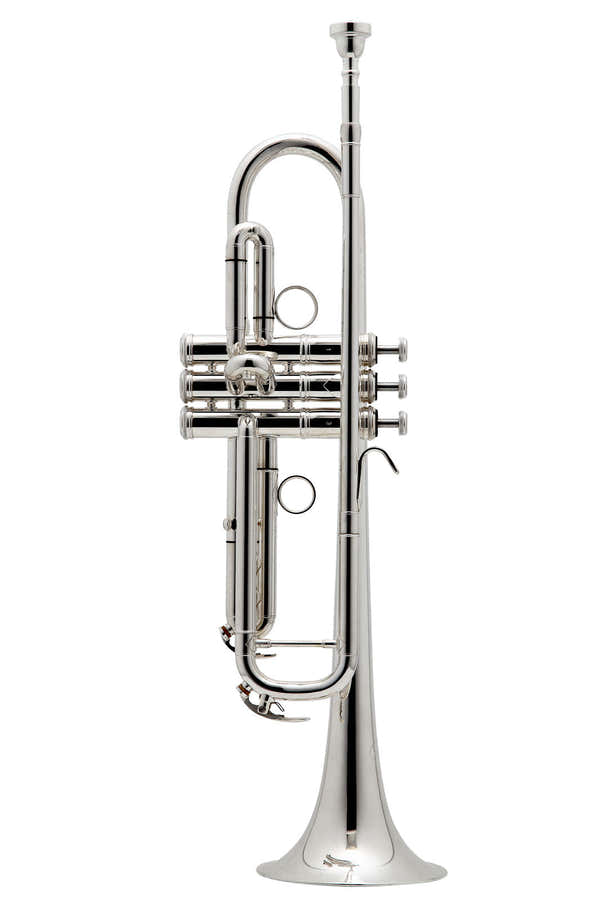 New Standard B Versilbert - BE111-2-0