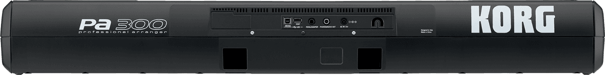 PA-300