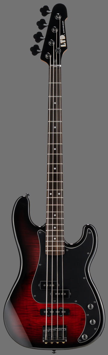 Surveyor-204DX Red Burst