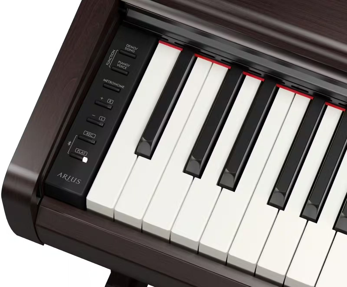 YDP-146 Rosewood