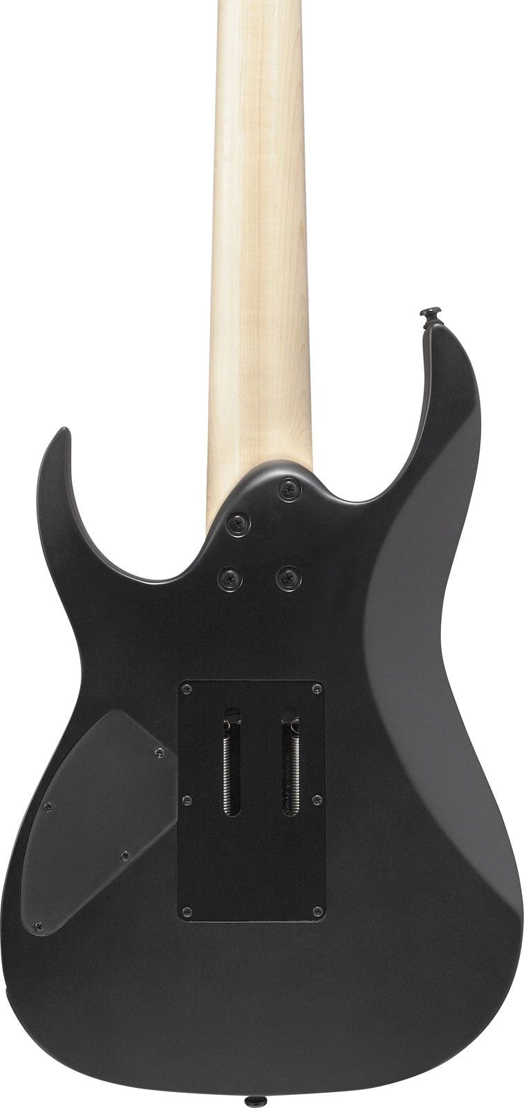 RG7420EX-BKF Schwarz Matt