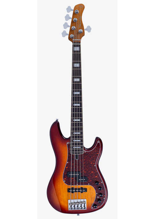 P7 Erle 5 Neue Generation TS