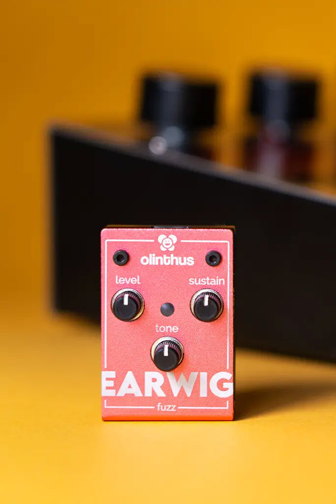 Earwig - Fuzz
