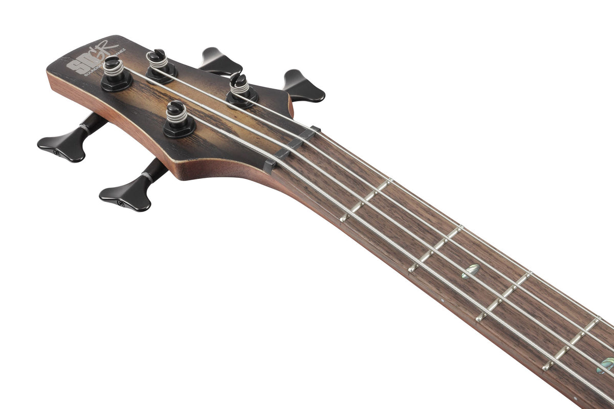 SR600E-AST Antikbraun gebeizter Burst