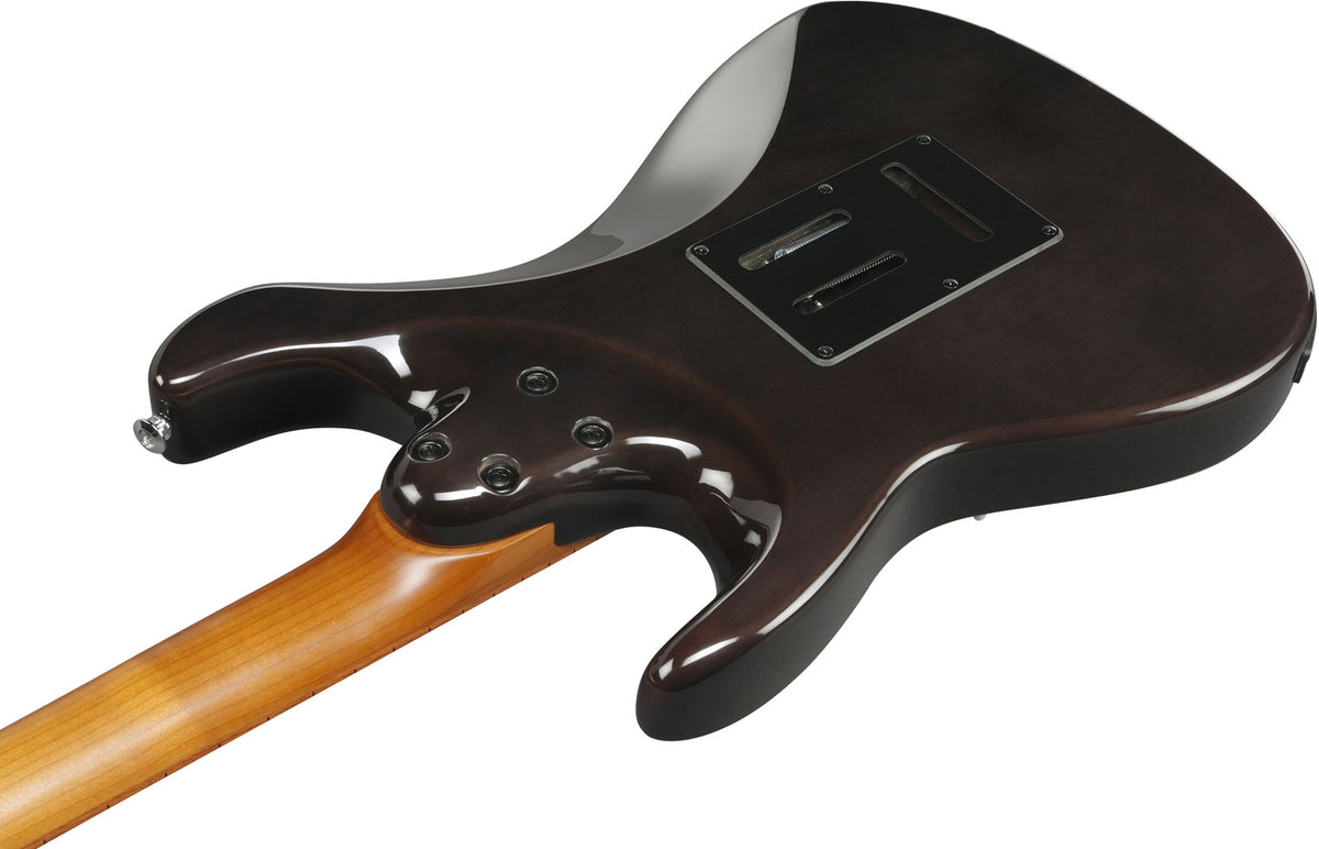 AZ22S1F-TKS Standard Transparent Black Sunburst