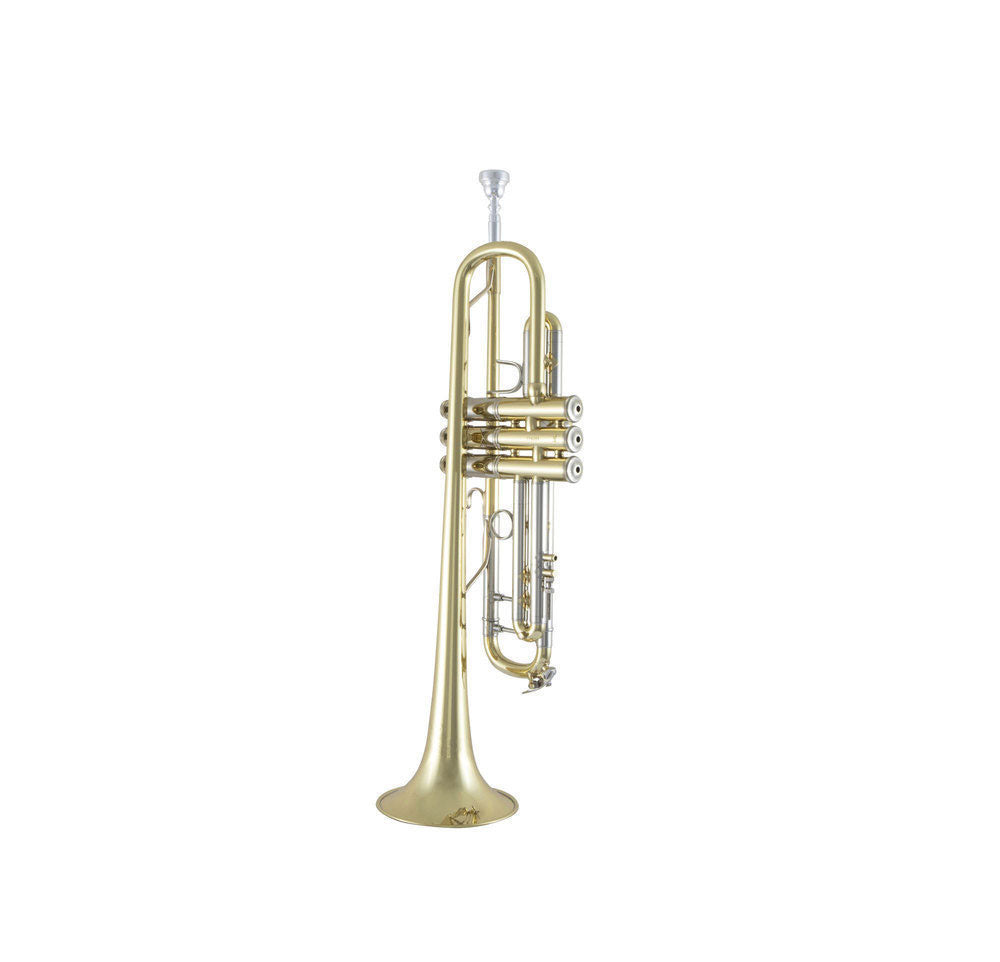 190S43 - Bb STRADIVARIUS LACKIERT