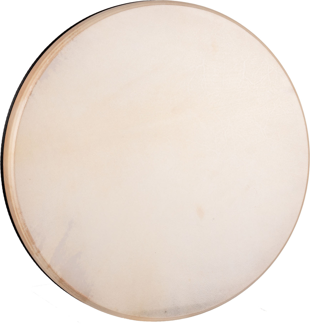 Percussion Coast Drum Durchmesser 50 cm Nicht Stimmbar