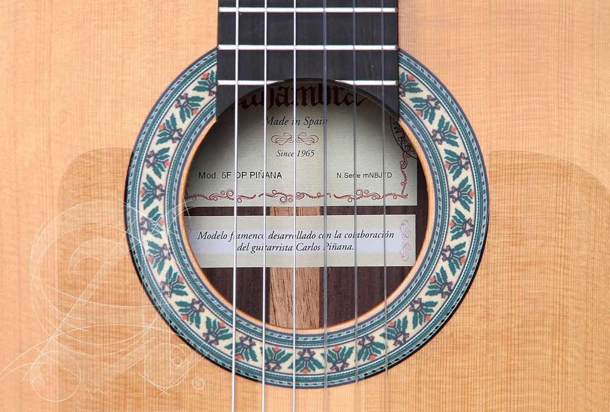 Conservatoire 5FP Op Piñana Flamenco + 9738 25mm Tasche