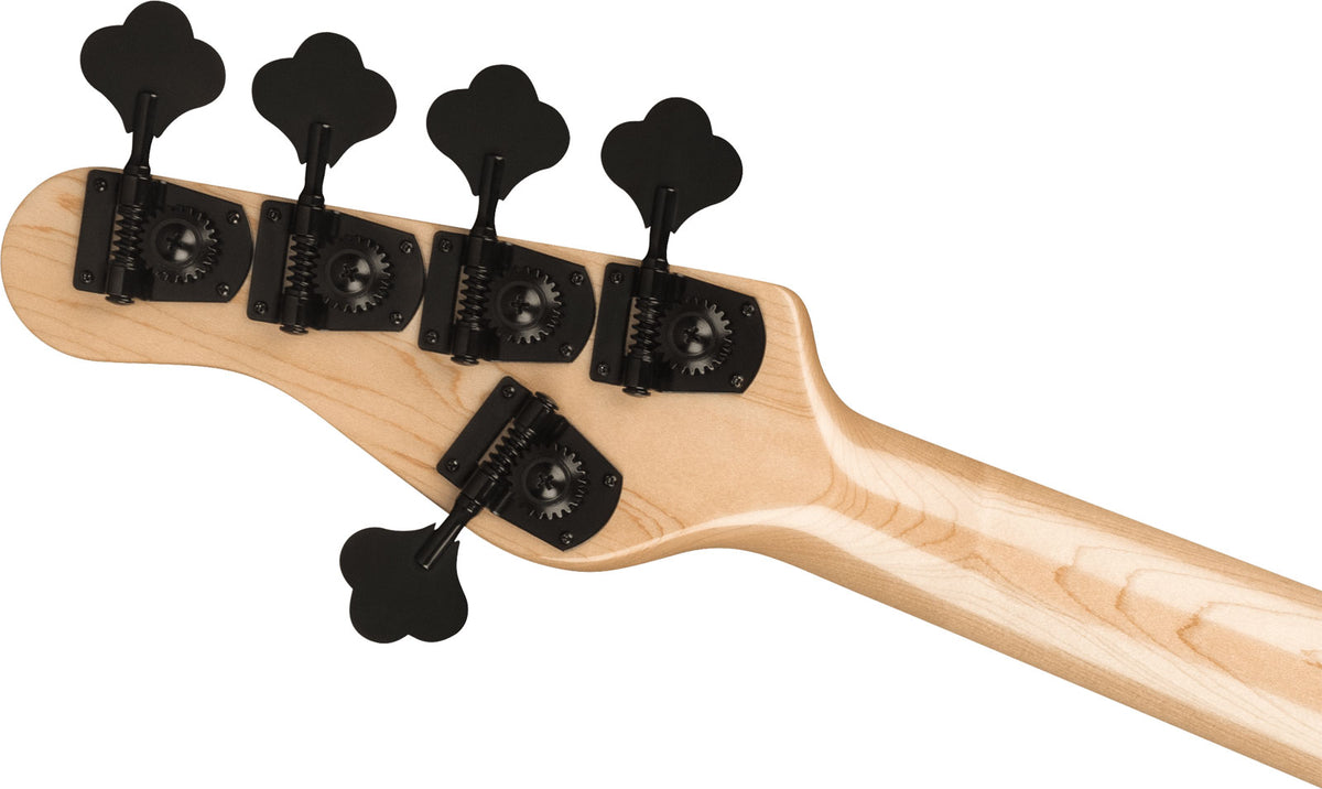 Pro Concert Bass Signature Gladys Adam Blackstone Mn - Generalüberholt