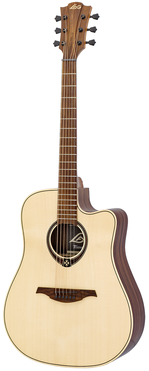 Tramontane 218 Dreadnought Elektro Cutaway
