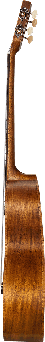 Naturbelassener Elektro-Bariton + Tasche