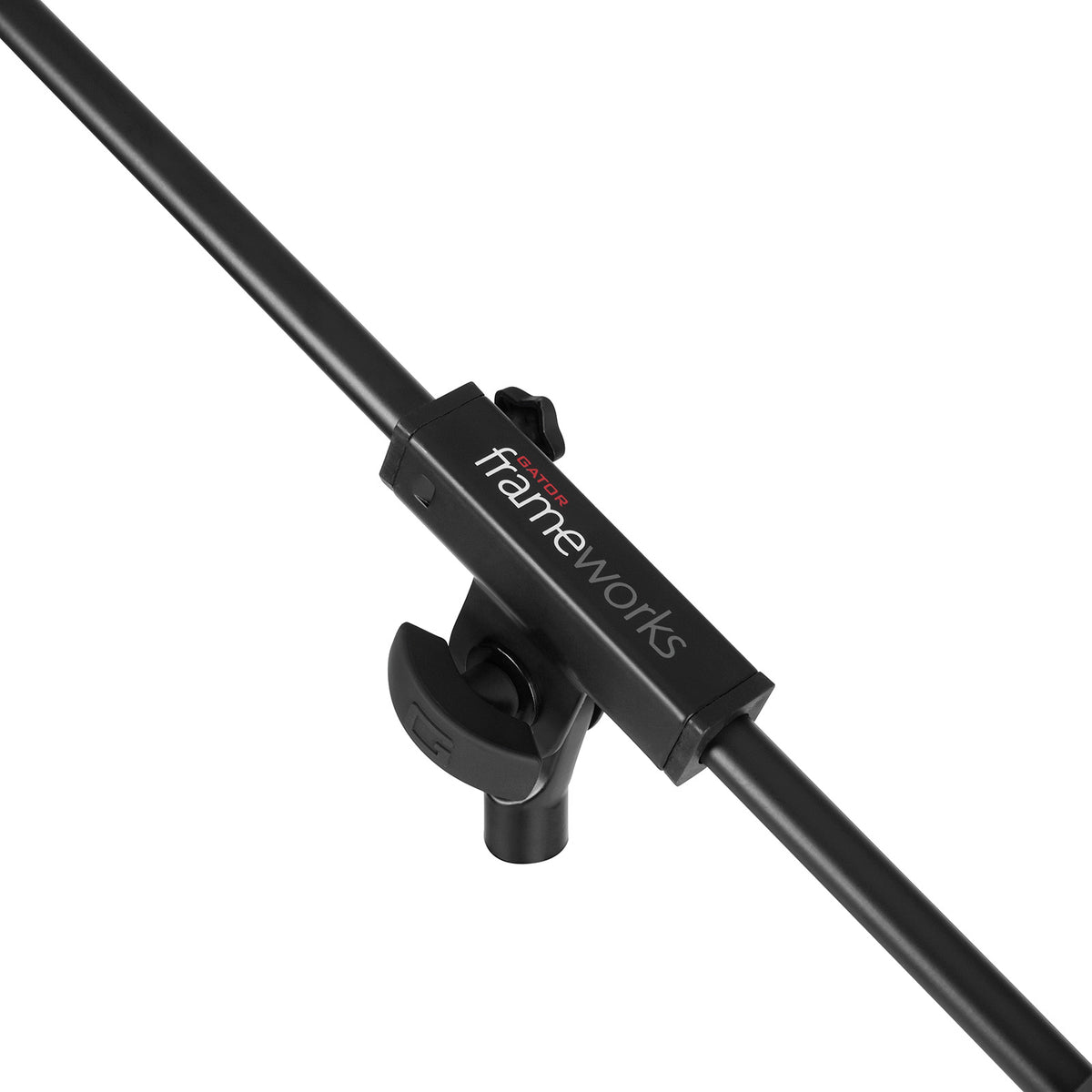 GFW-Mic-0010