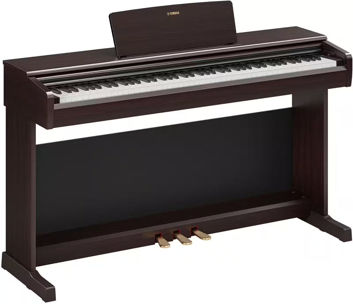 YDP-146 Rosewood
