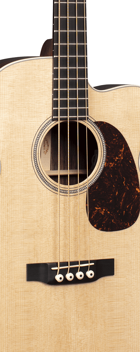 Bc-16E Bass